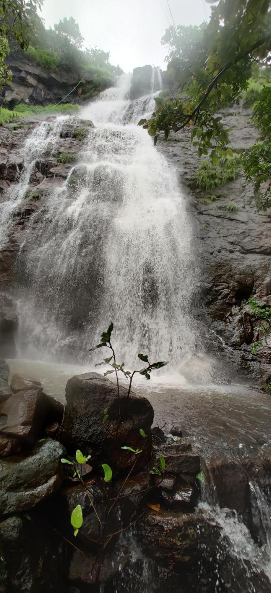 Forest Den Villa Pune Luaran gambar